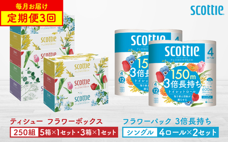 [定期便3回][毎月1回お届け][スコッティ]ティシュー フラワーボックス 250組(5箱パック×1セット・3箱パック×1セット)+フラワーパック 3倍長持ち(4ロール(シングル)パックx2セット)ティッシュ トイレットペーパー 日用品