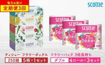 [定期便3回][毎月1回お届け][スコッティ]ティシュー フラワーボックス 250組(5箱パック×1セット)+フラワーパック 3倍長持ち(4ロール(ダブル)パックx3セット)ティッシュ トイレットペーパー 日用品