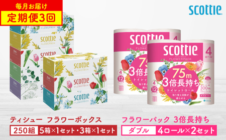[定期便3回][毎月1回お届け][スコッティ]ティシュー フラワーボックス 250組(5箱パック×1セット・3箱パック×1セット)+フラワーパック 3倍長持ち(4ロール(ダブル)パックx2セット)ティッシュ トイレットペーパー 日用品