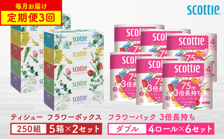 [定期便3回][毎月1回お届け][スコッティ]ティシュー フラワーボックス 250組(5箱パック×2セット)+フラワーパック 3倍長持ち(4ロール(ダブル)パックx6セット)ティッシュ トイレットペーパー 日用品