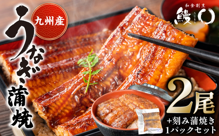 鰻丸(うなまる) 九州産 うなぎ蒲焼き2尾 & 刻み蒲焼き1パックセット 鰻 ウナギ うなぎの蒲焼