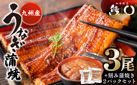 鰻丸(うなまる) 九州産 うなぎ蒲焼き3尾 & 刻み蒲焼き2パックセット 鰻 ウナギ うなぎの蒲焼