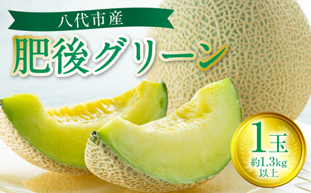 ys\z sY O[ 1 i1.3kgȏj F{  ʕ  t[c   y2026N6{菇z