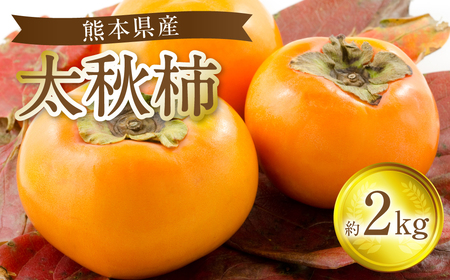 [先行予約]太秋柿 約2kg 果物 くだもの フルーツ 旬 [2025年10月上旬より順次発送]