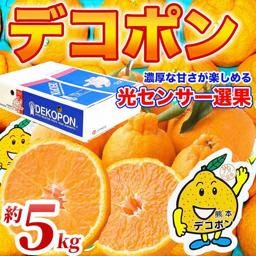 【先行予約】 デコポン 約5kg (12～24玉) でこぽん 不知火 【2026年12月上旬より順次発送】