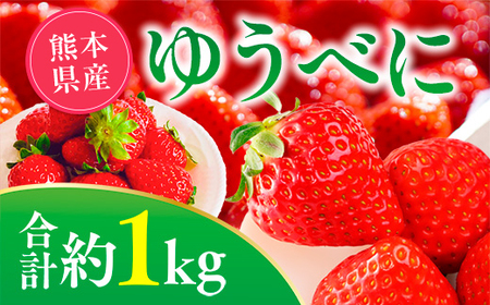 [先行予約]ゆうべにいちご 約1kg 果物 くだもの 旬 ジャム 季節の果物 [2026年2月上旬より順次発送]