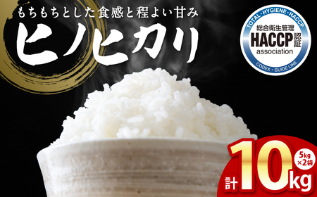 ys\zsߘa7NYt qmqJ 5kg×2 v10kg F{ sY     Y y2025N11{菇z