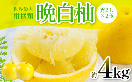 ys\z ӔMiG2k×2ʁj4kg k ʕ t[c F{Y ΂؂ t[c k Yiy2025N12{菇z