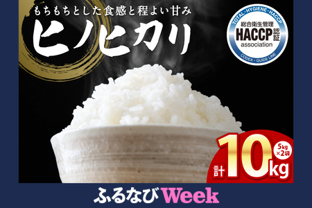 [ふるなびWEEK対象][先行予約][令和7年産] ヒノヒカリ 5kg×2袋 合計10kg 熊本県 八代市産 米 お米 精米 白米 国産 [2025年11月下旬より順次発送]