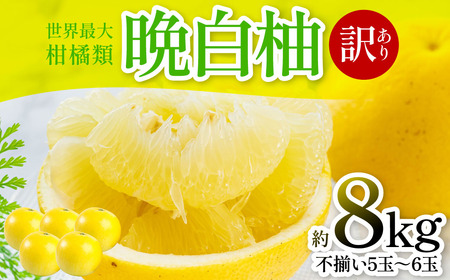 ys\z ӔM i󂠂Fs5`6ʁj8kg k ʕ t[c F{Y ΂؂ t[c k Yiy2026N1{菇z
