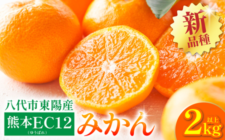 ys\z s zY EC12݂ 2kgȏ(8ʁ`20)  k ~J  ʕ t[c fU[g y2025N11{菇z