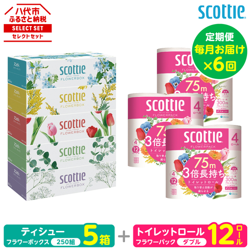 【定期便6回】【毎月お届け】【スコッティ】 組み合わせ ティシュー フラワーボックス 250組 5箱 計30箱 トイレットロール ダブル フラワーパック 3倍長持ち 12ロール 計72ロール ティッシュ トイレットペーパー 日用品 ストック 防災備蓄 ストック 備蓄 新生活 防災 消耗品 生活用品 日用消耗品 箱ティッシュ
