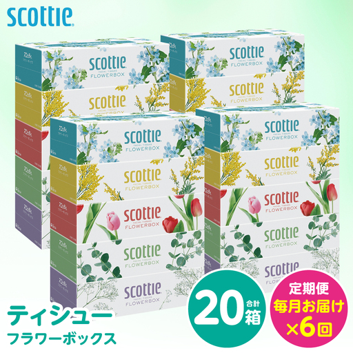 【定期便6回】【毎月お届け】【スコッティ】 ティシュー フラワーボックス 250組 20箱 計120箱 ティッシュ 日用品 生活必需品 消耗品 紙 まとめ買い 備蓄 防災備蓄 ストック デザインボックス 新生活 防災 生活用品 日用消耗品 箱ティッシュ