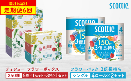 [定期便6回][毎月お届け][スコッティ] ティシュー フラワーボックス 250組(5箱パック×1セット・3箱パック×1セット)+フラワー 3倍長持ち(4ロール(シングル)x2セット)ティッシュ トイレットペーパー 日用品 ストック