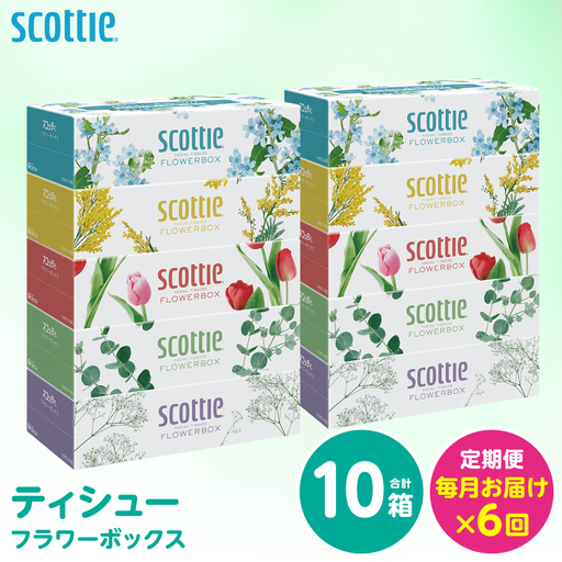 【定期便6回】【毎月お届け】【スコッティ】 ティシュー フラワーボックス 250組 10箱 計60箱 ティッシュ 日用品 生活必需品 消耗品 紙 まとめ買い 備蓄 防災備蓄 ストック デザインボックス 新生活 防災 生活用品 日用消耗品 箱ティッシュ