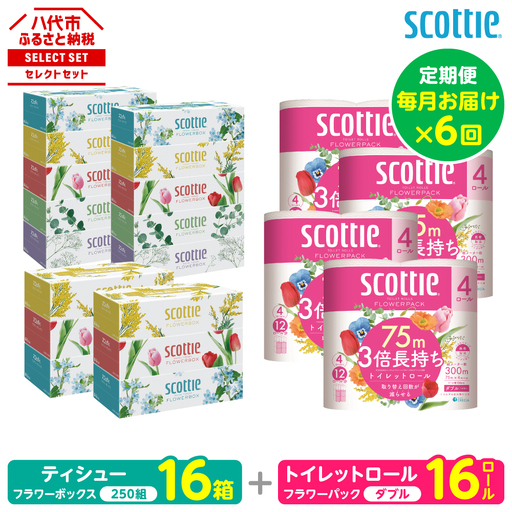 【定期便6回】【毎月お届け】【スコッティ】 組み合わせ ティシュー フラワーボックス 250組 16箱 計96箱 トイレットロール ダブル フラワーパック 3倍長持ち 16ロール 計96ロール ティッシュ トイレットペーパー 日用品 ストック 防災備蓄 ストック 備蓄 新生活 防災 消耗品 生活用品 日用消耗品 箱ティッシュ