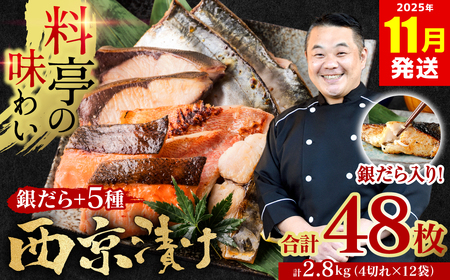 y2025N11zy󂠂zI N Ђ 2.8kg ₾ Ղ 6 48 Ă 4؂×12  {X  Ă ₾ I N   Ⓚ