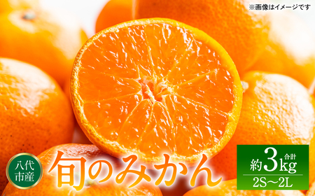 旬のみかん 2S〜2Lサイズ 約3kg ミカン 柑橘 果物 フルーツ 旬 デザート