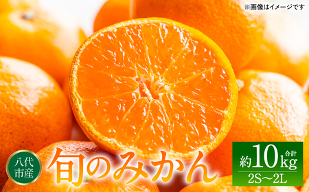 {݂̂ 2S`2LTCY 10kg ~J k ʕ t[c { fU[g