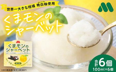 [先行予約] くまモンのシャーベット 世界一大きな柑橘(ザボン類) 熊本県産 晩白柚 使用 アイス 氷菓子 果汁 果物 熊本 八代 国産 スイーツ くまモン [2026年1月より順次発送]