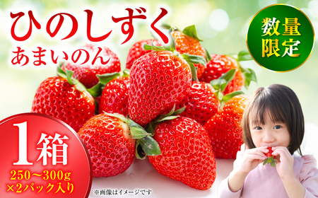 �y��s�\��z�Ђ̂����� -���܂��̂� �V�N �t���[�c �ʕ� �������� � ������ �C�`�S �X�g���x���[ �{ �F�{ ���� ���Y �y2026�N1�����{��菇�������z