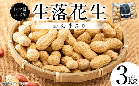 ys\z F{ Y Ԑ [܂] 3kg Ԑ bJZC  ܂  Ȃ 䥂 ܂  s[ibc  {  y2026N9{菇z