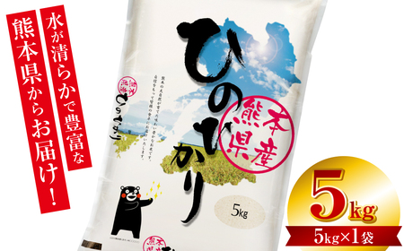 �y�ߘa7�N�Y�z �F�{���Y ���܃����Ђ̂Ђ��� 5kg (5kg×1��) �� ���� ���� ���� ���͂� ���� �F�{