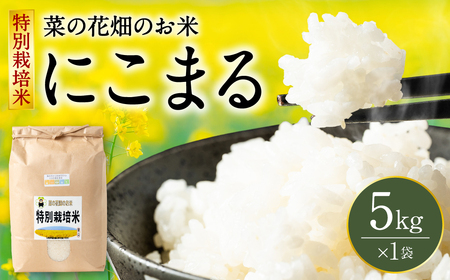 [令和7年産] 菜の花畑のお米 「特別栽培米」 5kg (5kg×1袋) にこまる 米 お米 精米 白米 ごはん ご飯 熊本