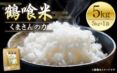 [令和7年産] 熊本県八代市産 鶴喰米 くまさんの力 精米 5kg 米 お米 精米 白米 ごはん ご飯 熊本