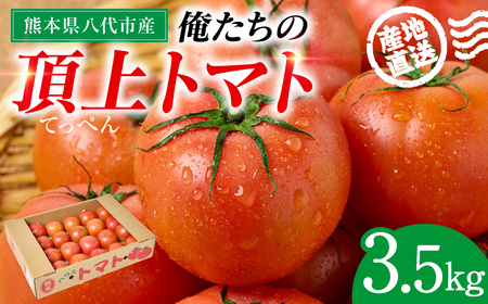 産地直送 俺たちの頂上トマト 3.5kg トマト とまと 野菜 やさい 旬 旬の野菜 新鮮な野菜 地元産野菜 熊本県 八代市