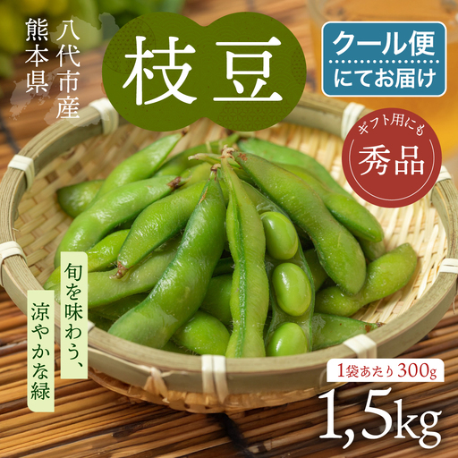 [先行予約] 熊本県八代市産 枝豆 1.5kg 野菜 えだまめ [2026年7月上旬より順次発送]