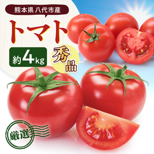 [先行予約] 熊本県八代市産 トマト 約4kg (20玉または24玉) 野菜 旬 [2027年1月上旬より順次発送]