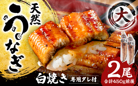 うなぎ 熊本県八代市産 天然うなぎ 白焼 (大) 2尾 合計450g前後 蒲焼のたれ付き うなぎ