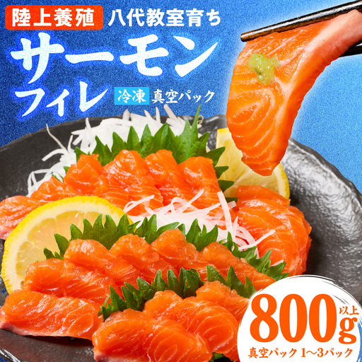 八代 教室育ち サーモン フィレ 800g以上 刺身 サーモン