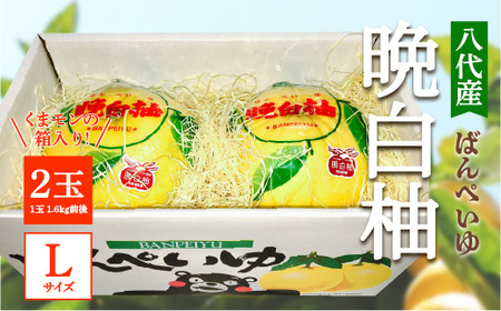 ys\z Y ӔM 2 LTCYi܃̔j  k ʕ t[c F{Y ΂؂  k Yi { y2025N12{菇z