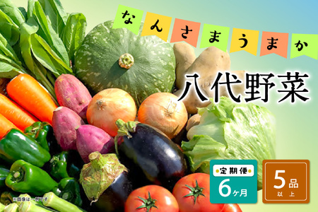 [定期便6回]なんさまうまか八代野菜セット 5品以上 やさい 詰め合わせ 熊本県産