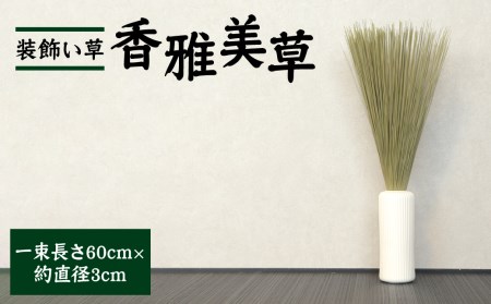 八代市 装飾い草「香雅美草」 60cm×3cm 120g 5本 熊本県産