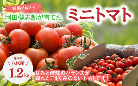 【先行予約】野菜 ソムリエ 岡田健志郎 が育てた ミニトマト 1.2kg 生産者支援