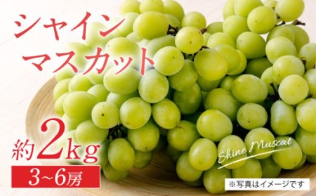 【先行予約】熊本県産 シャインマスカット 約2kg 3房～6房