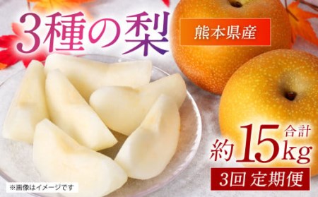 【先行予約】3種の梨の定期便 豊水梨 秋月梨 新高梨 約5kg×3回 計約15kg