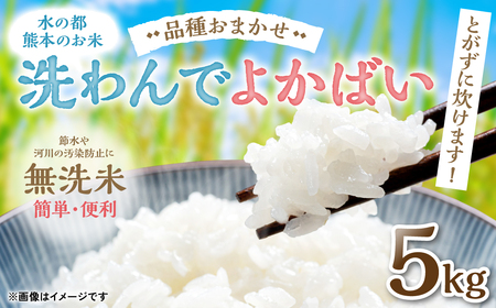 洗わんでよかばい 熊本県産 無洗米 5kg 令和4年産 お米 精米 白米