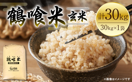 [先行予約] [令和7年産] 鶴喰米 玄米30kg くまさんの輝き 米 精米 白米 熊本県産 国産 [2025年10月中旬より順次発送]
