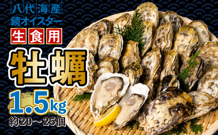 [先行予約] 牡蠣 鏡オイスター 生食用 1.5kg オイスター 新鮮[2024年12月中旬より順次発送]