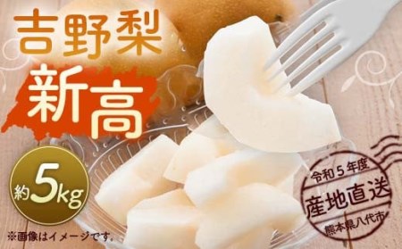 ys\z ߘa5Nx s g엜 V 5kg  ʕ V