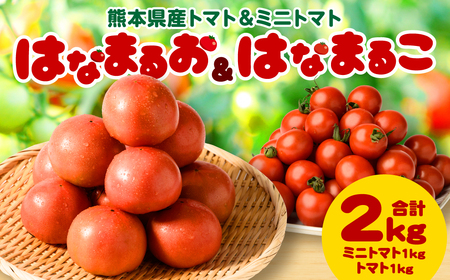 [順次発送] 熊本県産トマト 1kg & ミニトマト 1kg 合計2kg はなまるお & はなまるこ