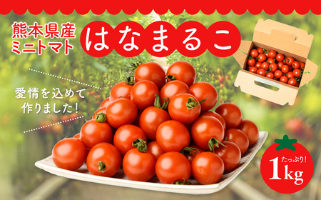 [先行予約]熊本県産 ミニトマト はなまるこ 1kg 野菜 旬 熊本 とまと 2024年11月上旬より順次発送]