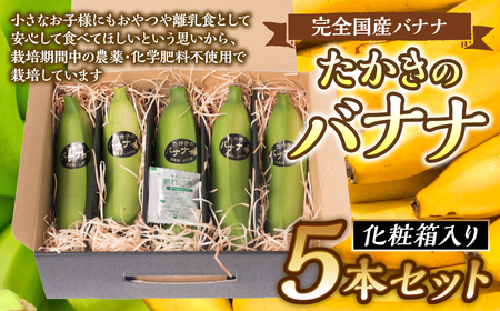 [先行予約] たかきのバナナ 化粧箱 入り 5本 セット [2024年6月上旬より順次発送]