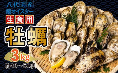 ys\z y ICX^[ Hp 3kg ICX^[  VN ܂ BBQ y2025N12{菇z