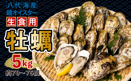 ys\z y ICX^[ Hp 5kg ICX^[  VN ܂ BBQ y2025N12{菇z