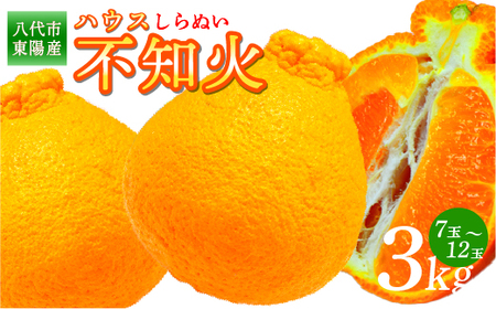 [先行予約] 八代市東陽産 ハウス不知火 3kg(7玉〜12玉) [2024年12月下旬より順次発送]